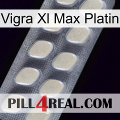 Vigra Xl Max Platinum 08